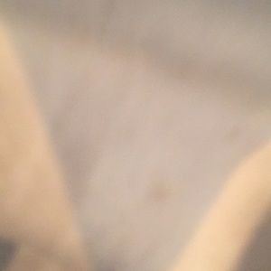 Meet your Posher, Carlos